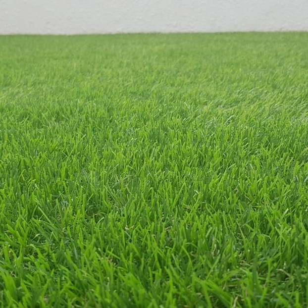 Artificial Grass - Natural Grass color - Fire retardant - Weather proof (1 Sq.M - Supply and apply)